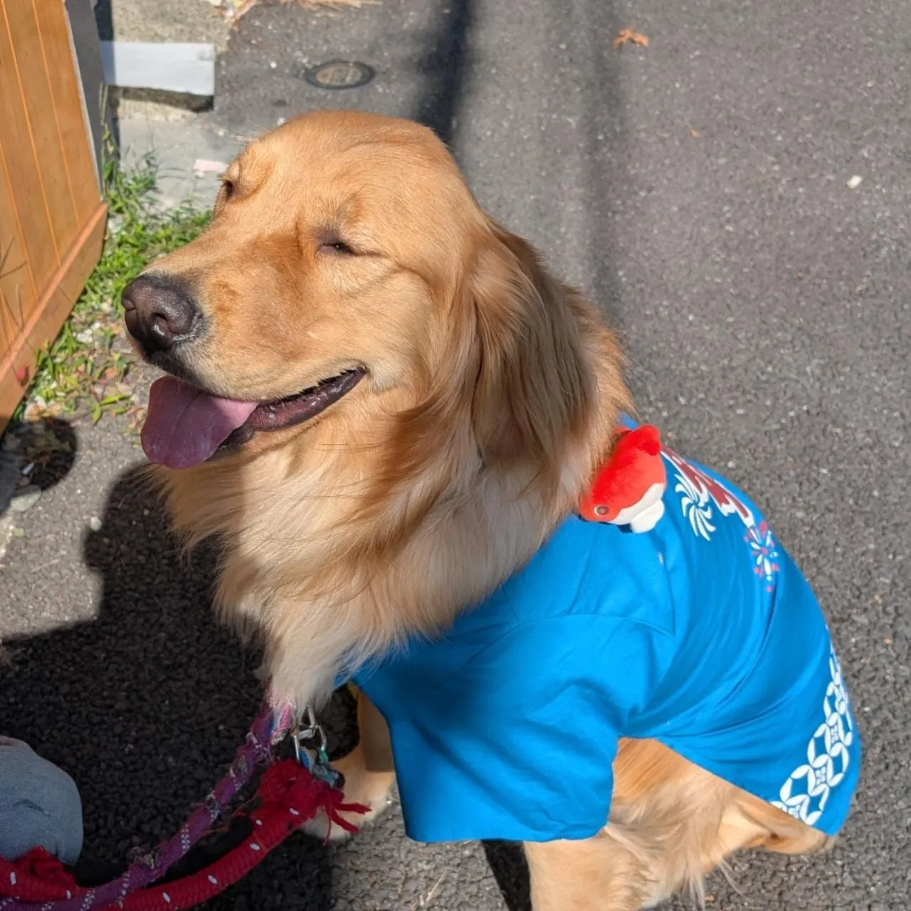 この子も、駆けつけてくれました😊